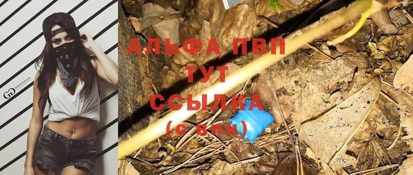 тгк Приозерск