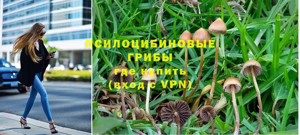 трава Рославль