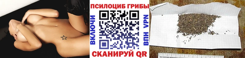 Псилоцибиновые грибы мухоморы  закладка  Снежногорск 